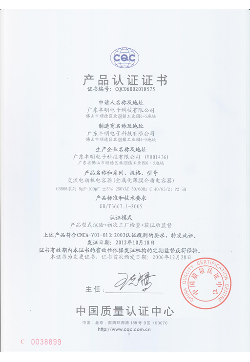 CBB65-250V 5-100UF 408521 P2 SH